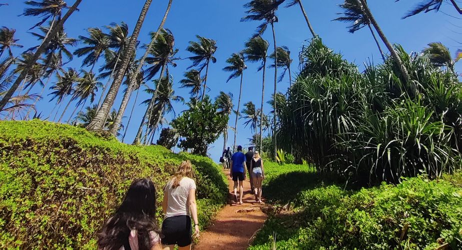 Wandelen naar Coconut Hill Wandelen naar Coconut Hill